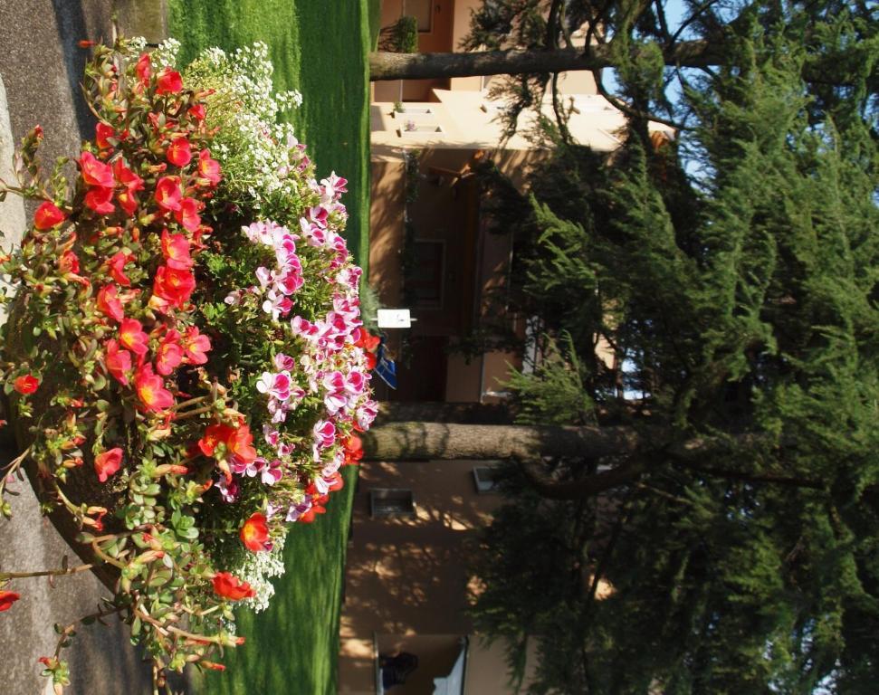 La Madonnina * Peschiera del Garda
